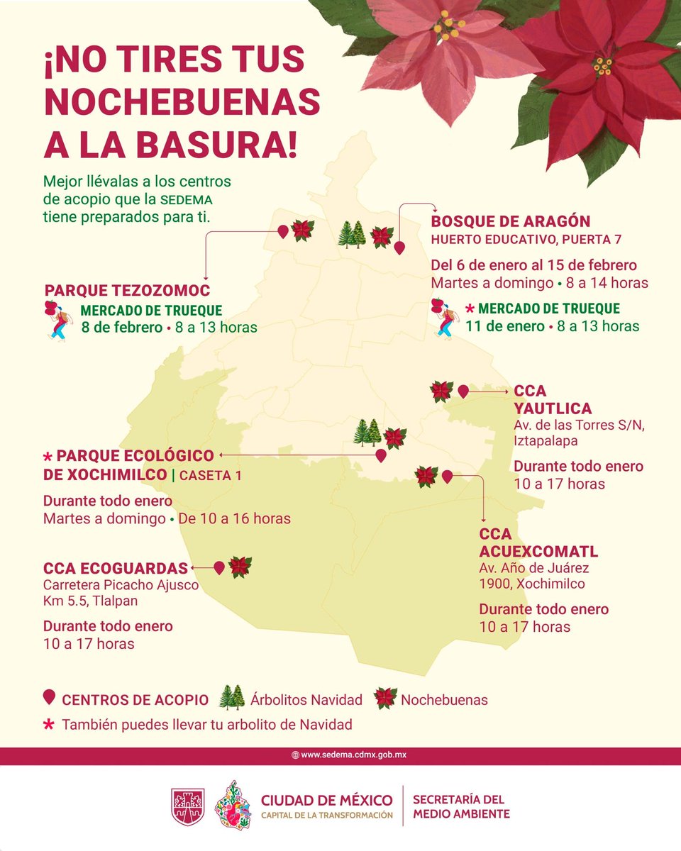 ¡Dale un destino adecuado a tus flores de nochebuena!

Llévalas a los centros de acopio y contribuye al cuidado del ambiente.

Consulta el centro más cercano y sus horarios de atención. También puedes llevar tu árbol de Navidad.

Conoce más: sedema.cdmx.gob.mx/comunicacion/n…