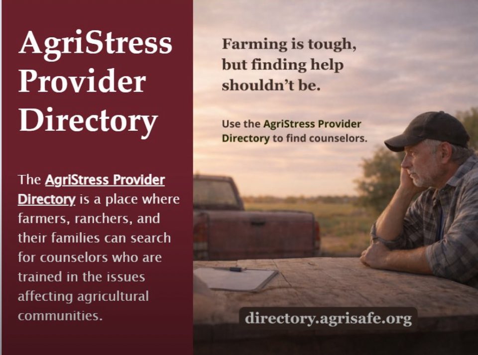 Carey Portell tweet media