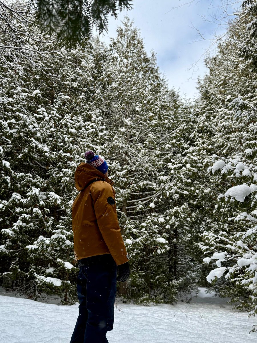 Devin Cuddy tweet media