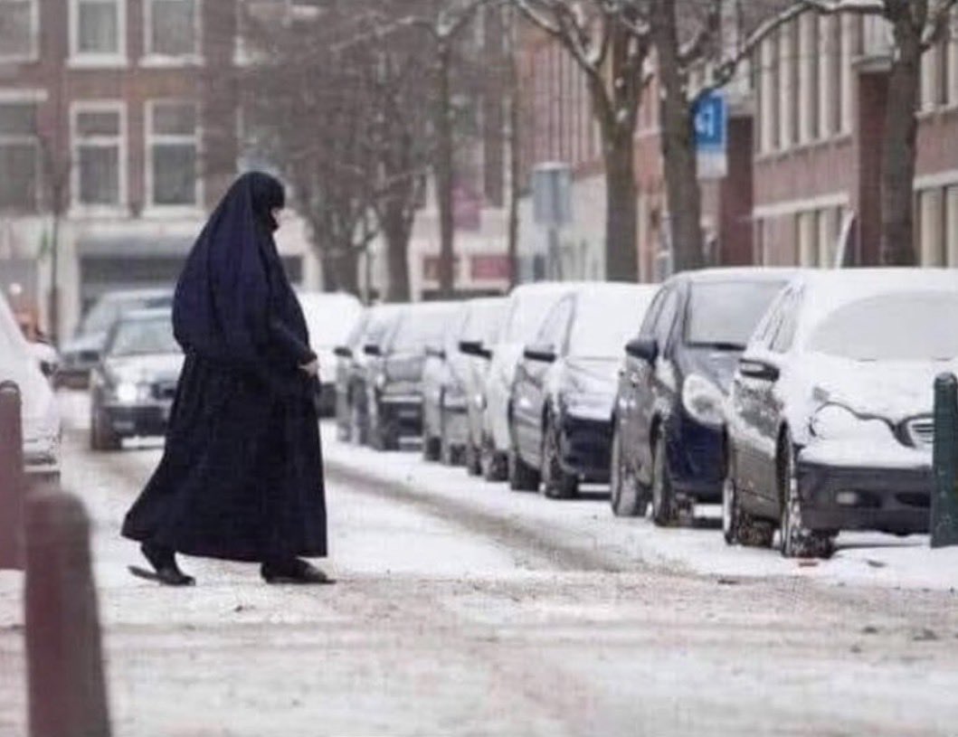 Jan . L van de Straat tweet media