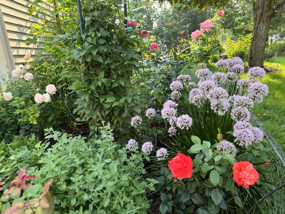 BabyBus86's tweet image. 