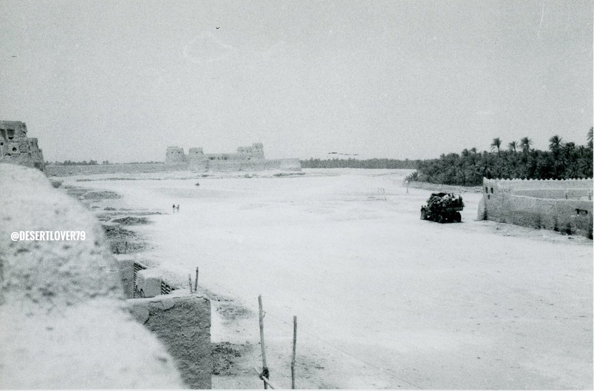 مشاهد من محافظة الأحساء في المملكة العربية السعودية ١٩٤٨ م