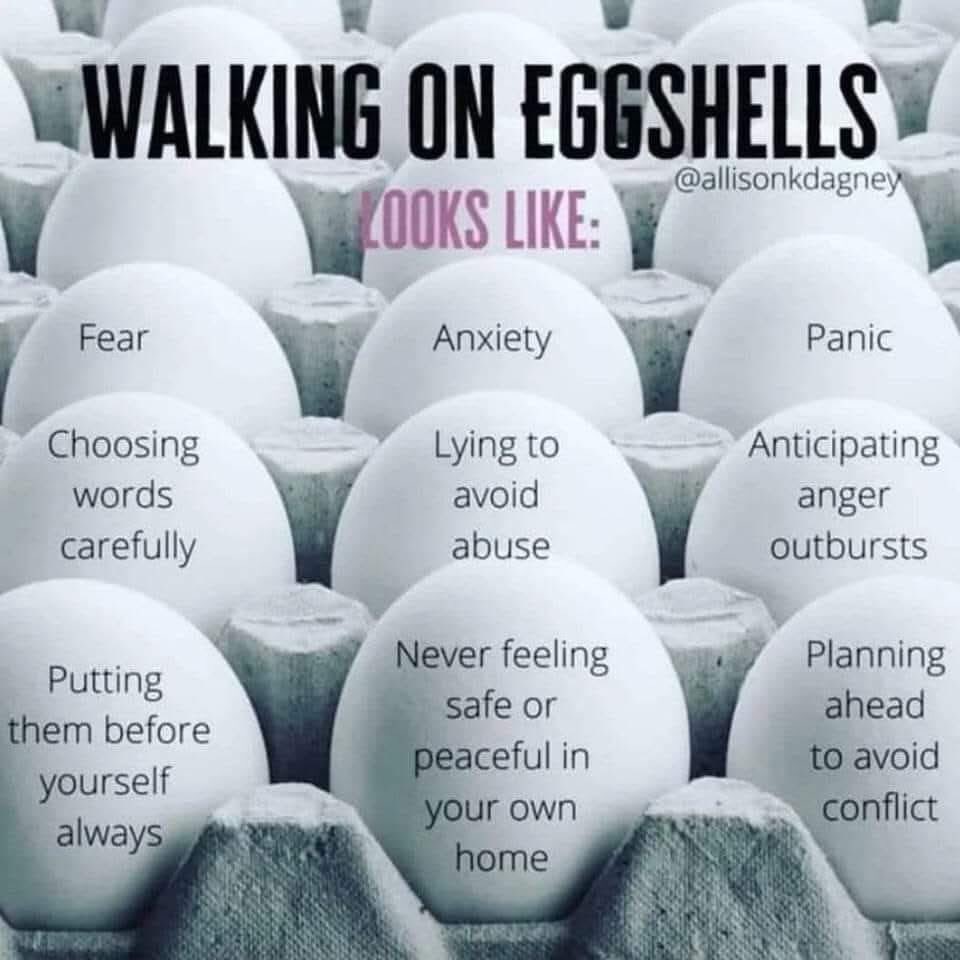 RhiaCrewe's tweet image. 💜