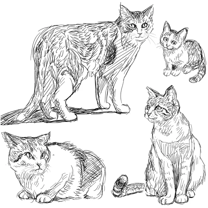 寝てしもた😨
苦しまぎれは
猫モシャー
もちょい寝ます🥱
おやすみなさいー😴 