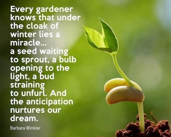 Quickcrop tweet media