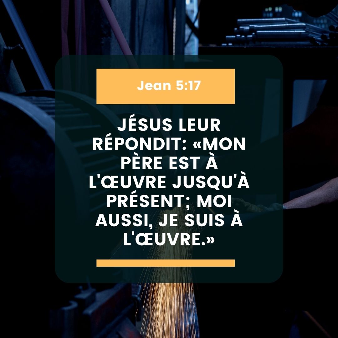 La Bible tweet media
