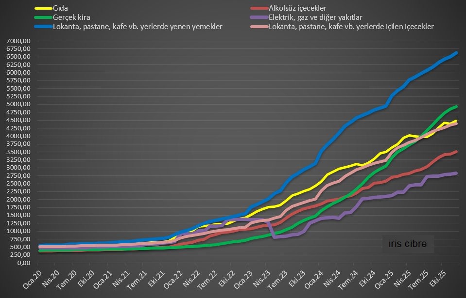 Son 6 yılda marketten aldığımız gıda, alkollü-alkolsüz içecek (perakende) , enerji ve kira fiyatları ortalama 785% arttı

Lokantada yeme içme fiyatları 1100%