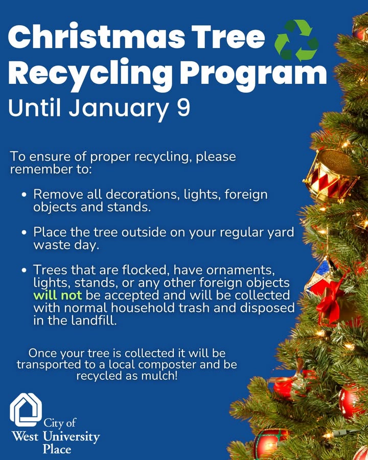 You can recycle your tree until Jan. 9, please remember to:
- Place the tree outside on your regular yard waste day.
- Trees that are flocked, have ornaments, lights, stands, or any other foreign objects will not be accepted and will be collected with normal household trash.