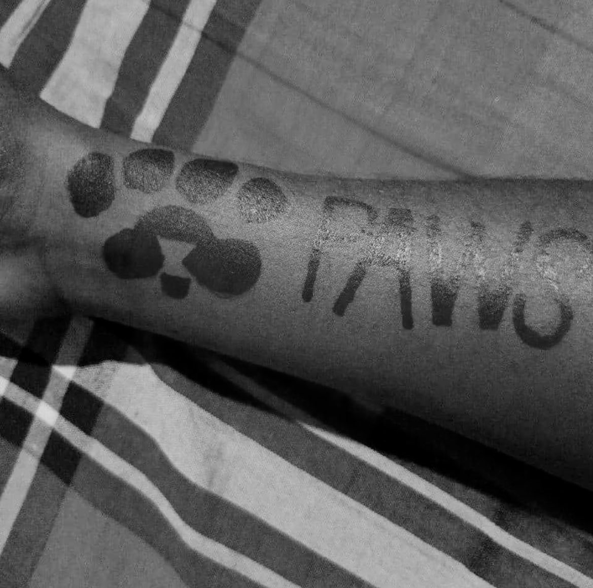 GotPAWS2026's tweet photo. The only thing you need is tattooing $PAWS on your hand like me…!

@0xSatigny 

Monday = #PawsMemeDay https://t.co/GTbPcq5iiA