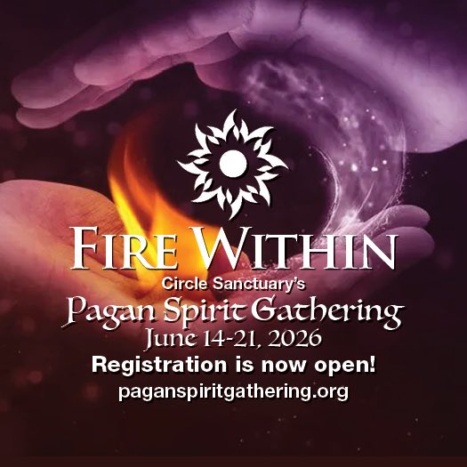 Selena Fox tweet media