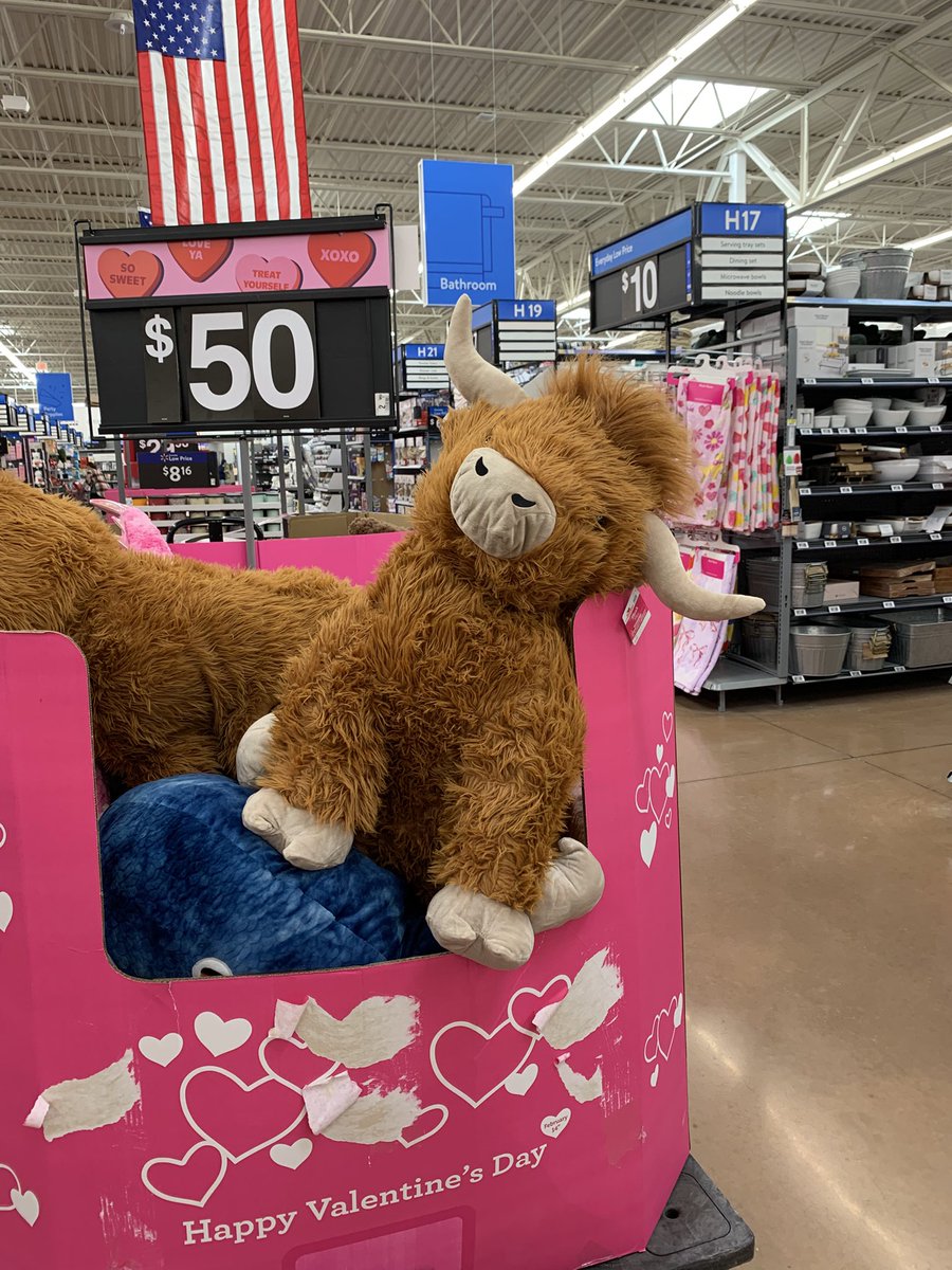 ՞߹ - ߹՞ tweet media