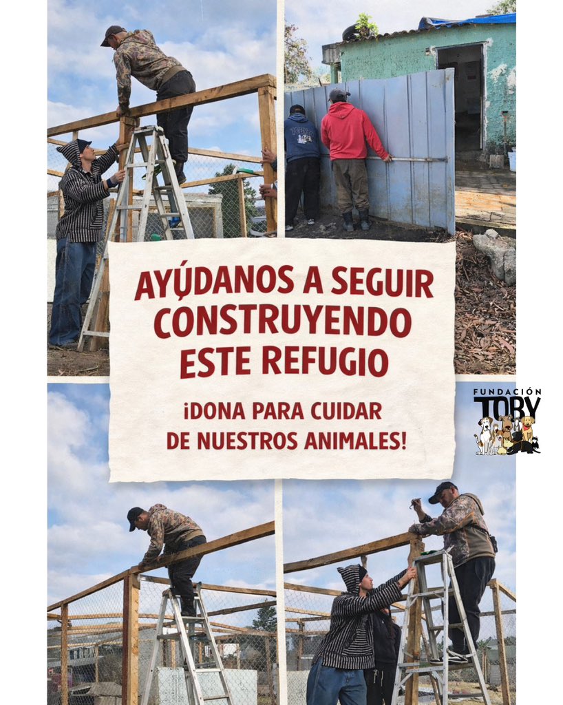 🛠️🐾 No somos muchas manos…
pero el amor es grande
y aún falta mucho por construir 💜

Si puedes venir a ayudar,
te esperamos con el corazón abierto.
Y si no puedes venir,
tu apoyo también construye.

Gracias por no dejarnos solos 🩵🐾✨
Cuentas Toby

- BANCOMER
Cuenta: