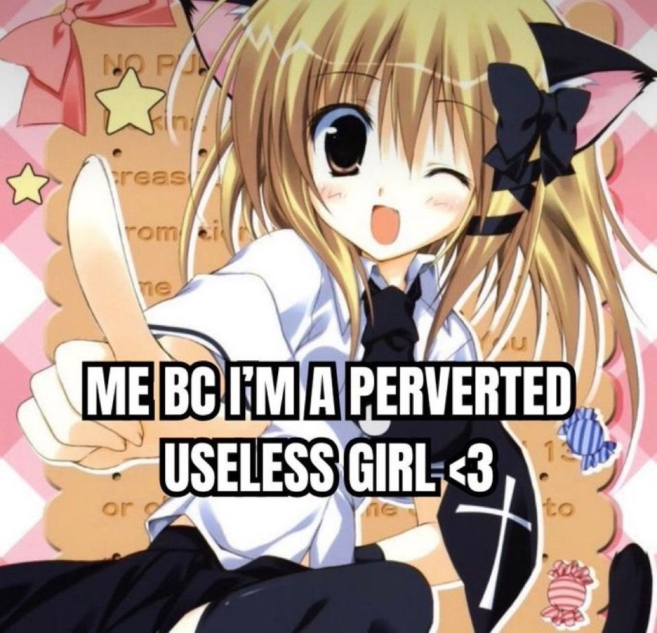 cinnam0nnn's tweet image. 