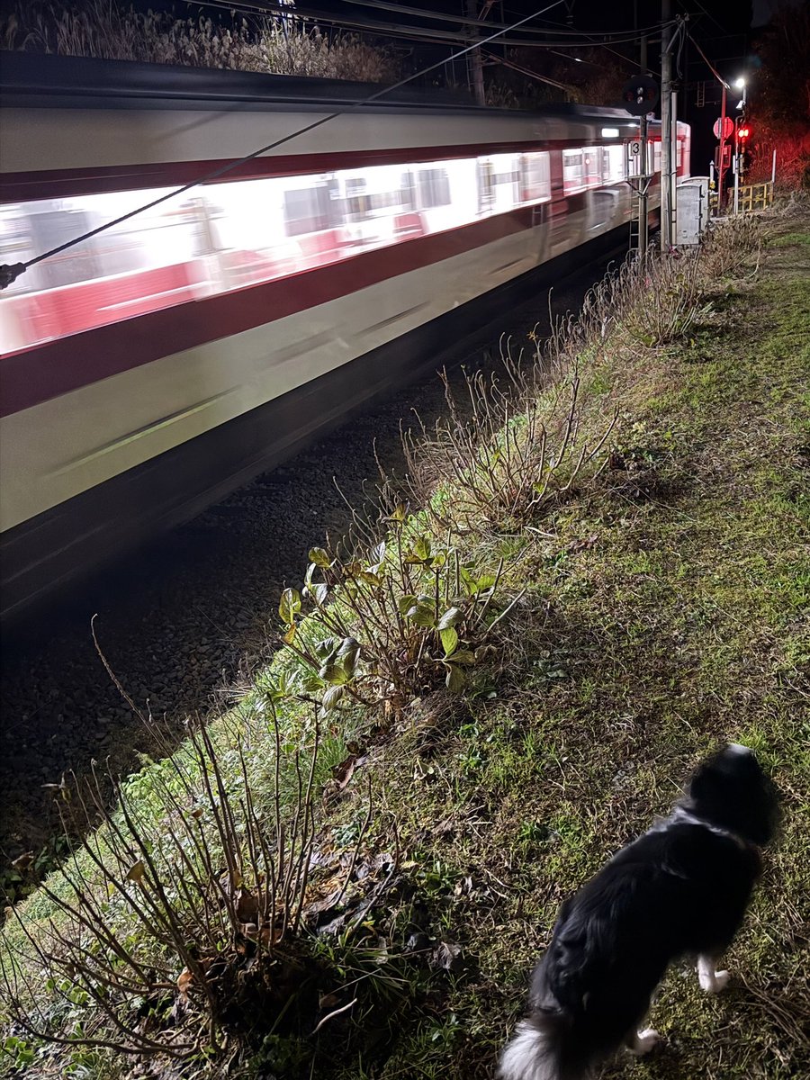 ChhiF's tweet image. おはようございます。
エセ撮り鉄です。
今日から地獄です。