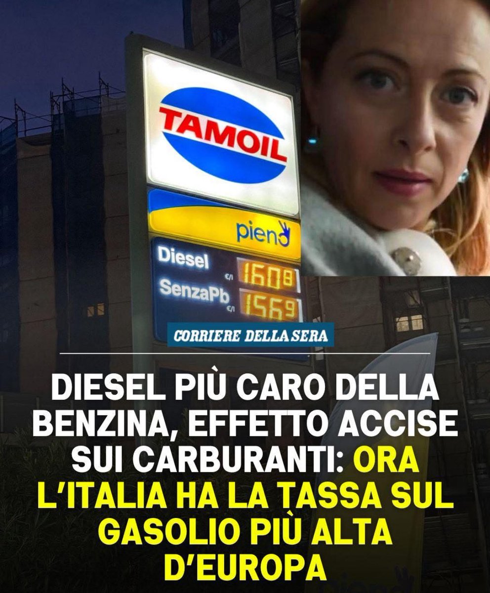 Frenkie_Woody tweet media