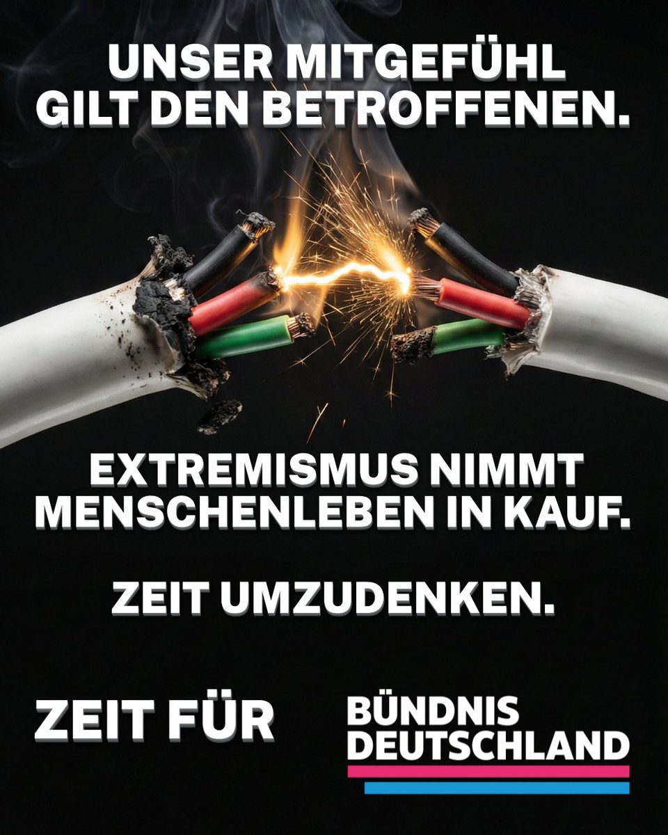 BÜNDNIS DEUTSCHLAND tweet media