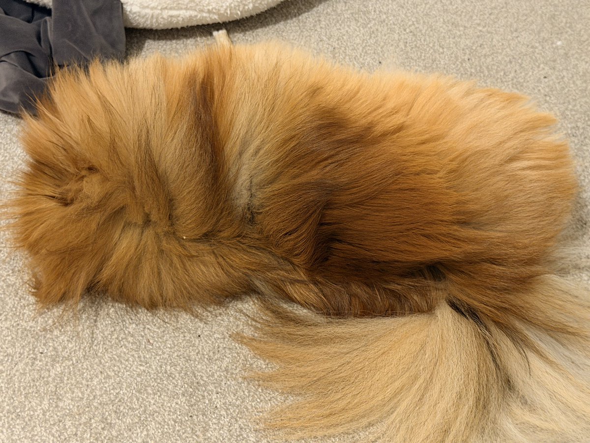 Laimu / Limealicious 🍋🟩 tweet media