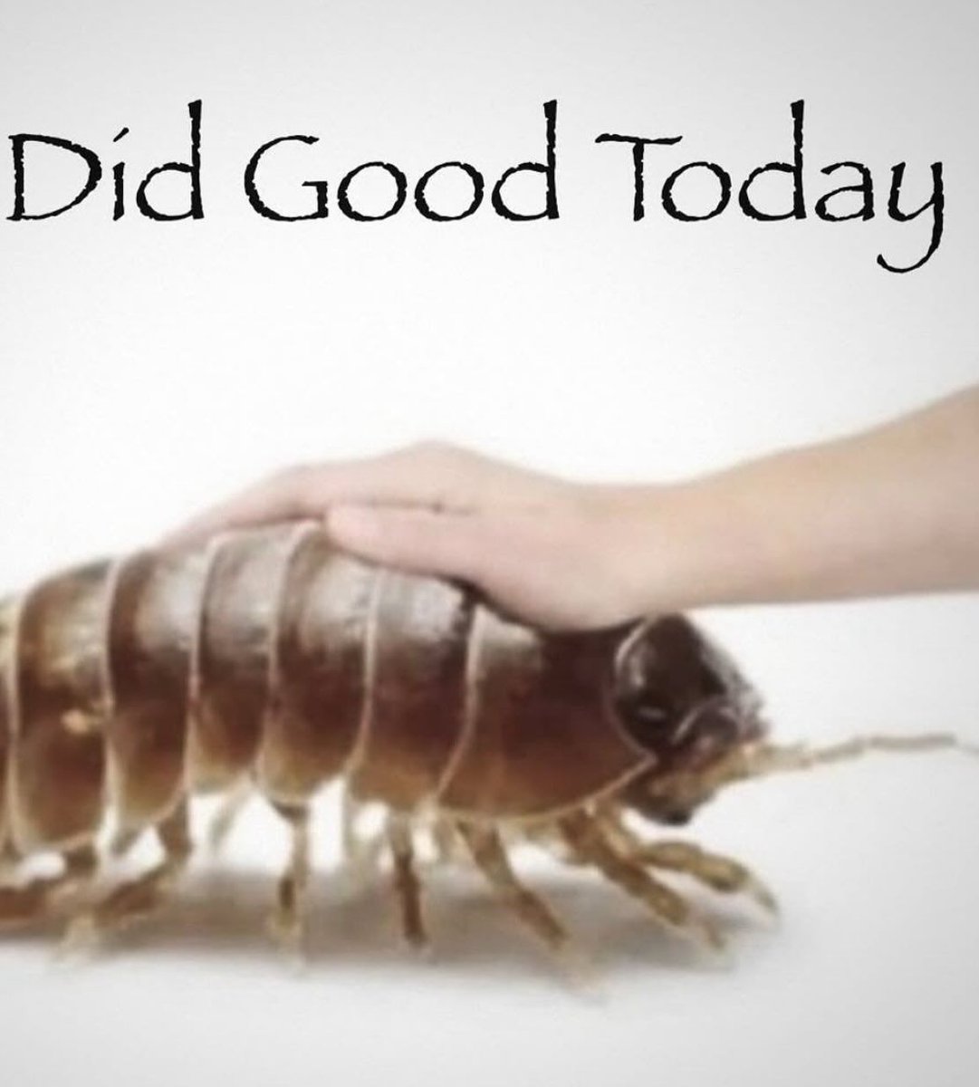 Just noticed i reached 500 followers, i like the number, 400 was ugly, thanks, for you: