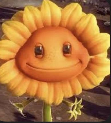 Taylan From Hell tweet media