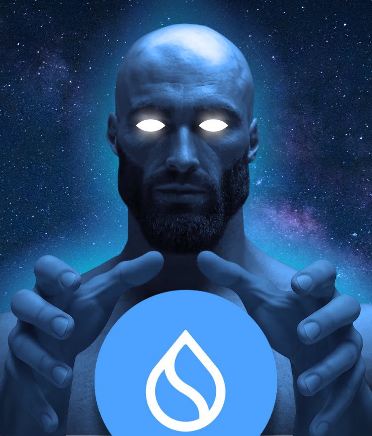 Sui Chad tweet media