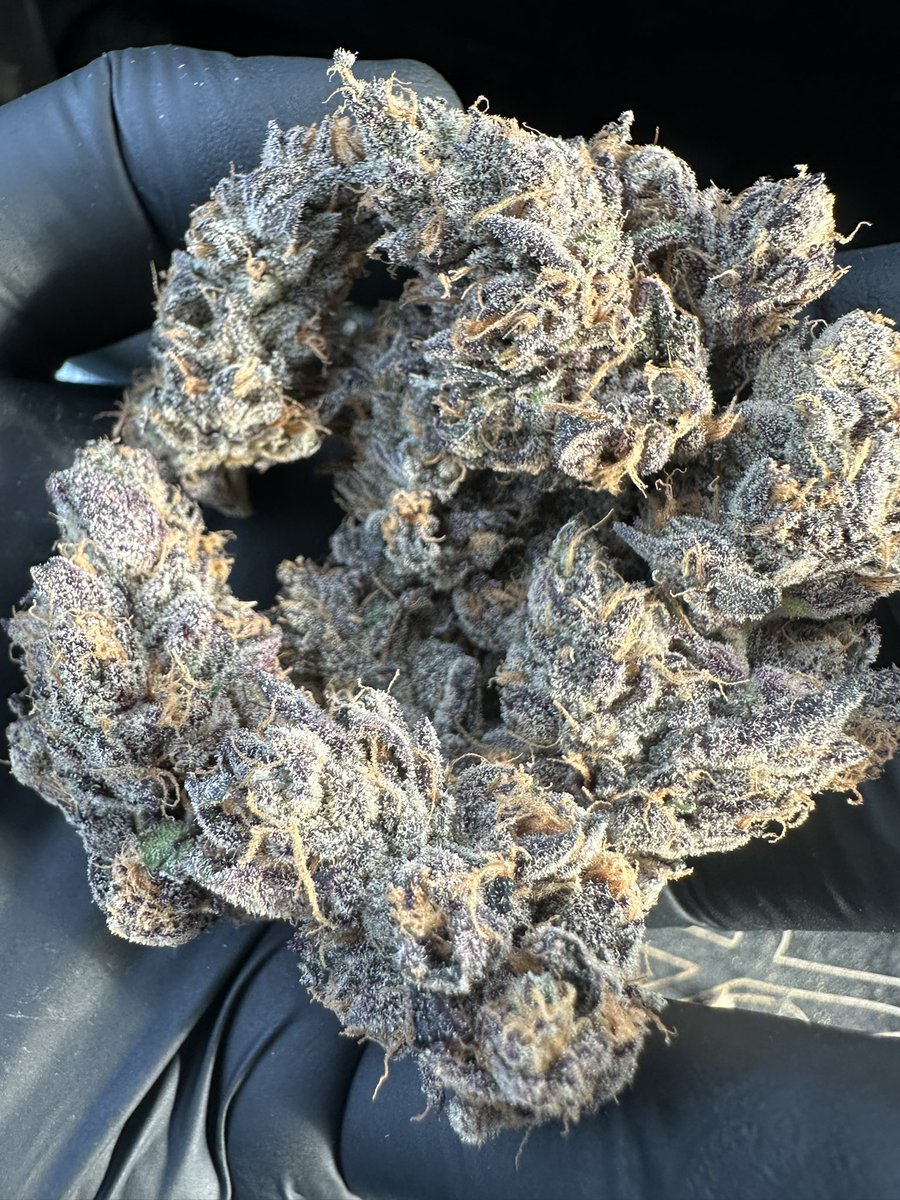 ZaZaWizard tweet media