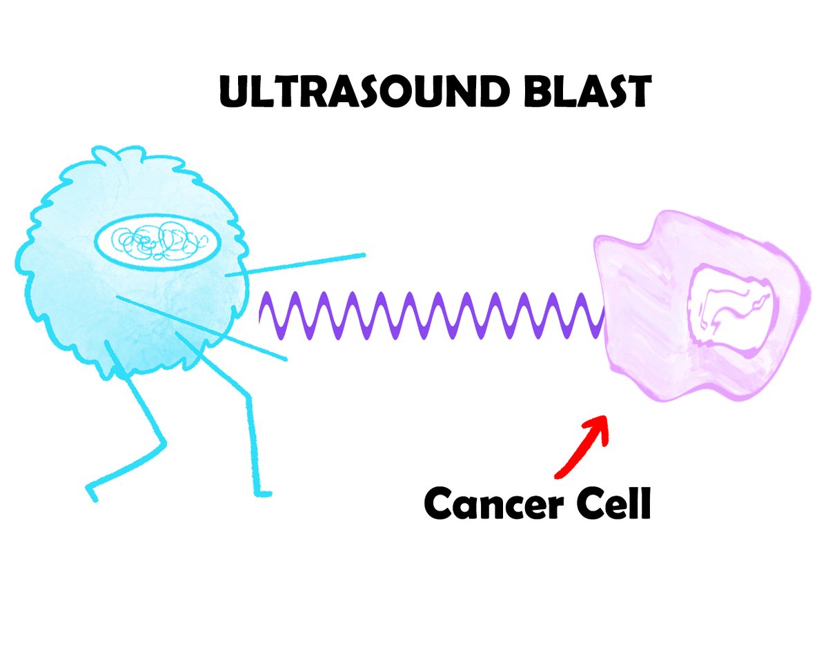 Phy the Neutrophil | Biology VTuber 🧬| VTheorem tweet media