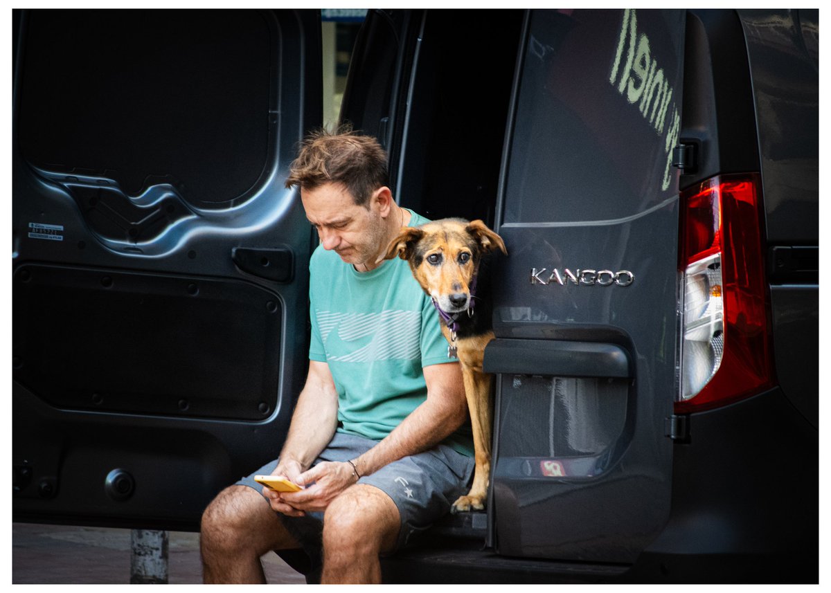 🚀 Gian tweet media