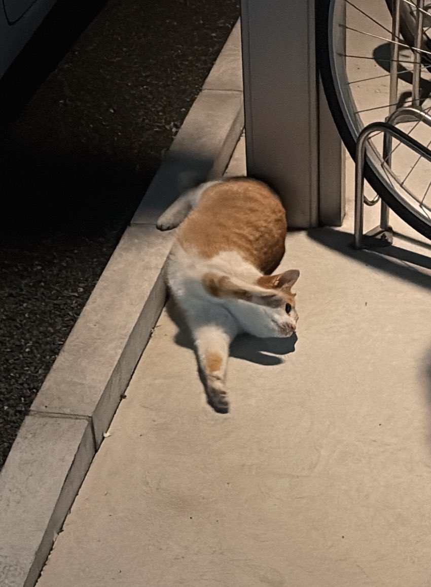 パンダ様＠隠居出来ない垢 (@superpachislo77) / Posts / X