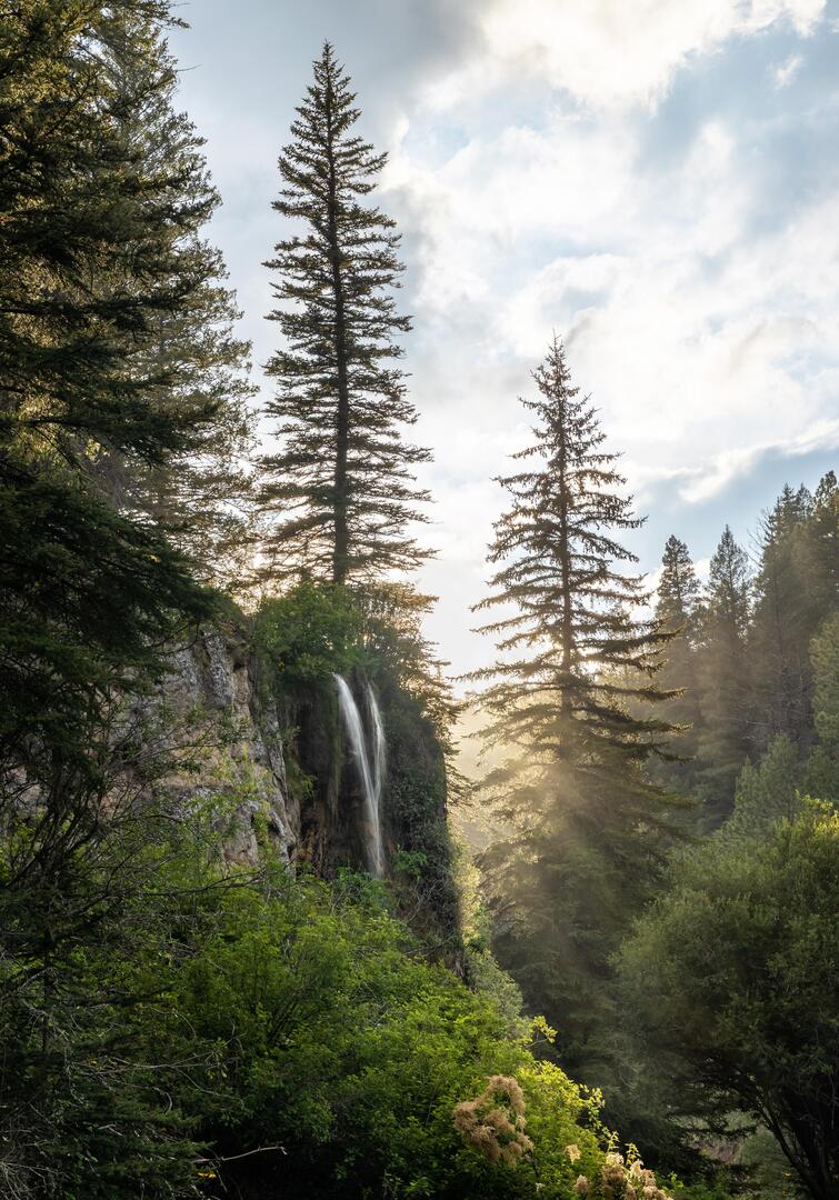 MovieNight_apps's tweet photo. Lincoln National Forest [4157x5948] [OC] via /r/EarthPorn https://t.co/TBKcrwxFYX

#photography #photooftheday #photographer #photoshoot #picoftheday #art #beautiful
#instagood #photo #nature #travelphotography
#landscapephotography #portraitphotography
#followme #follow #camer… https://t.co/2QNre45vsP