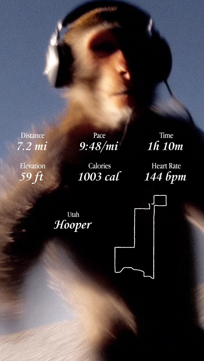 Just a Monday Afternoon Neighborhood Trot 🏃‍♂️✅