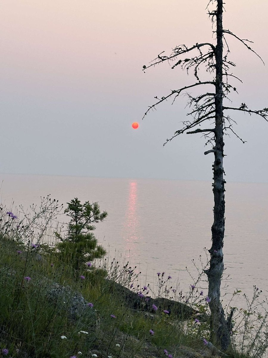 Pluck2003's tweet image. Throwback to summer🌅