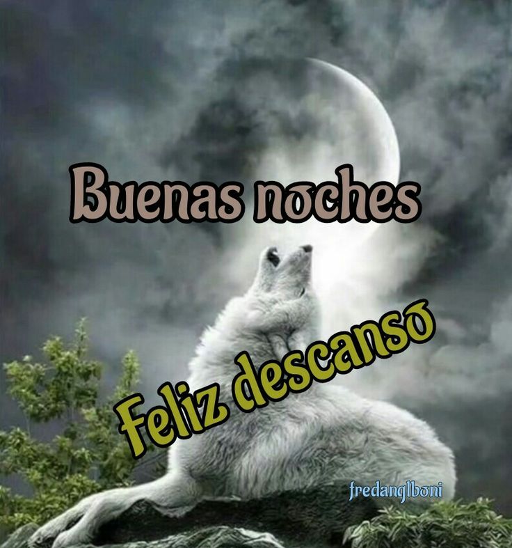 de_observer's tweet photo. @chfrcm144 Buenas noches Fรกtima, espero estรฉs mejor y que tengas una feliz noche amiga ๐ช๐ซ๐บ๐๐
#APOYOROCIO5E https://t.co/QBusxNV8bN