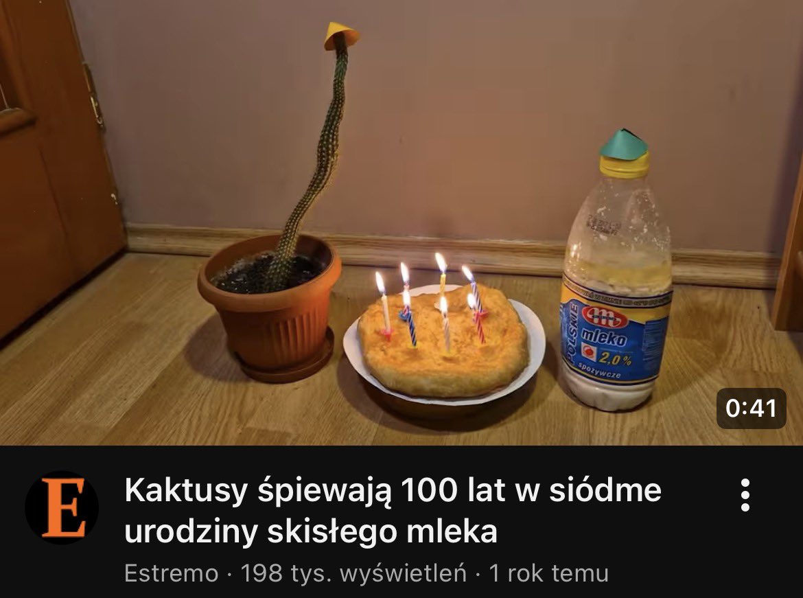 FrytkaZmaka8's tweet image. 