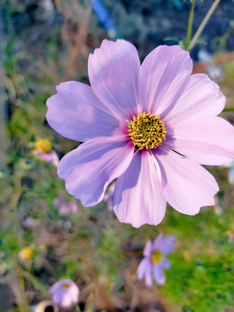 南ミナミさま専用ページ 可南子みなみ (@D0eYebUZseXbSB6) / Posts / X