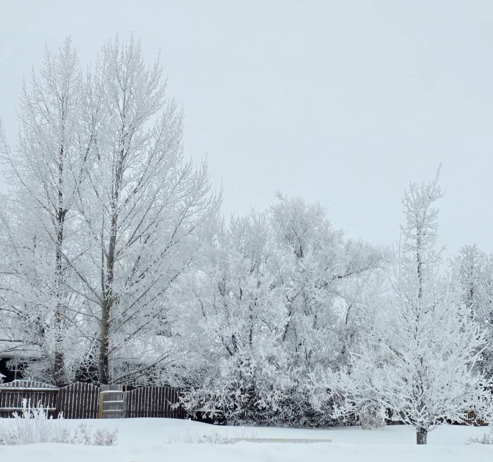 Its a cold one today!!! 
Thanks everyone for a great season 65!!! Can't wait to see what season 66 brings!