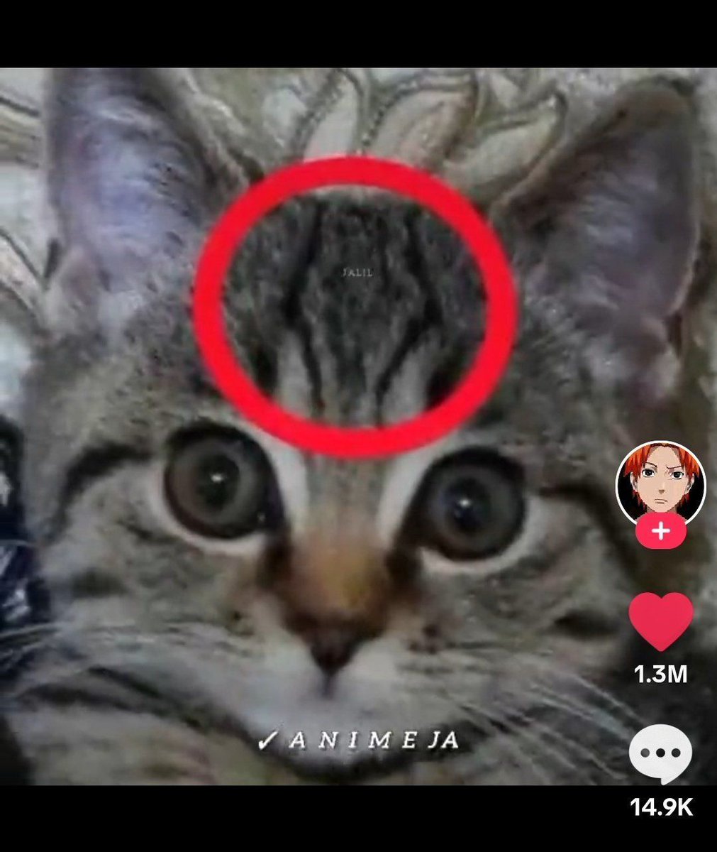 Anime Shots tweet media