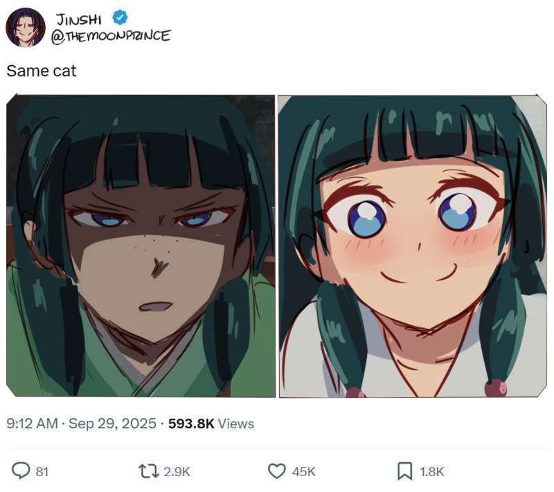 spatziline's tweet image. More of Jinshi's cat, Maomao #TheApothecaryDiaries #kusuriyanohitorigoto