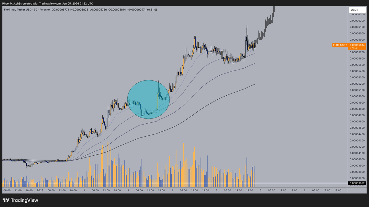 Rin75 ❤️ FLOKI GUYS (@CR_BBD) / Posts / X