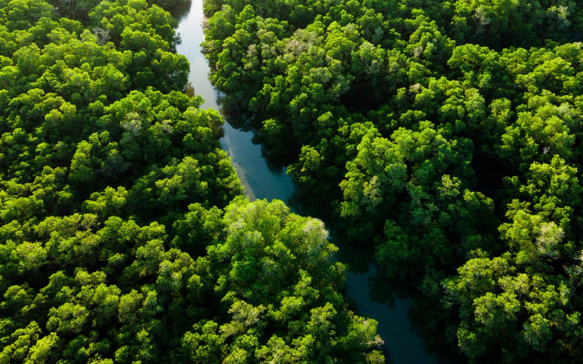 IMPAQTO | Coworking | Capacitación | Inversión tweet media