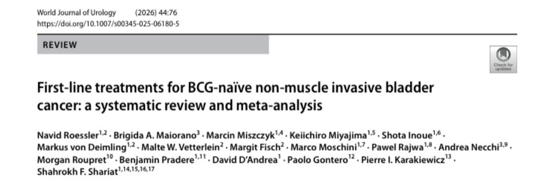 Navid Roessler tweet media