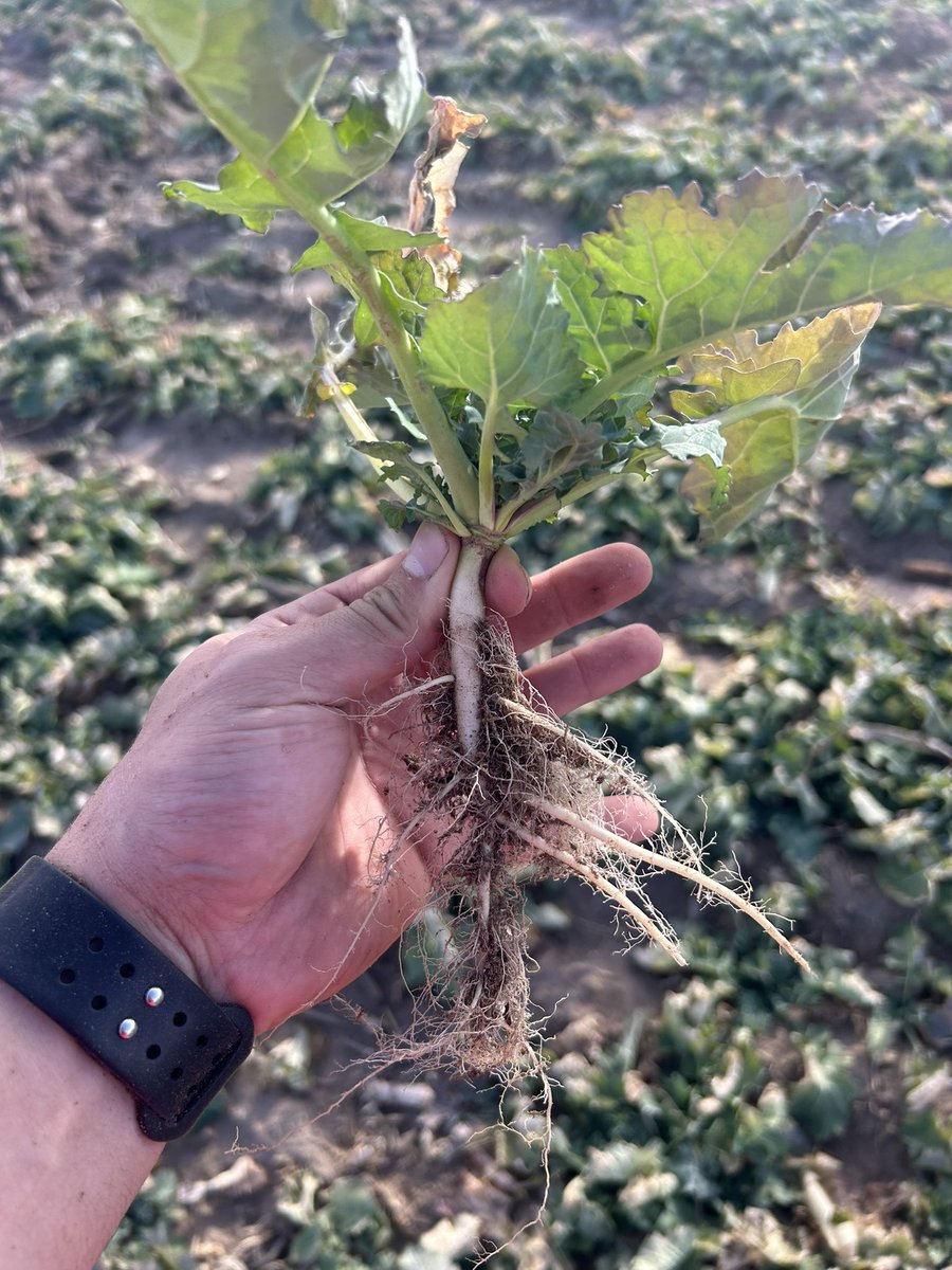 Alex Millershaski tweet media