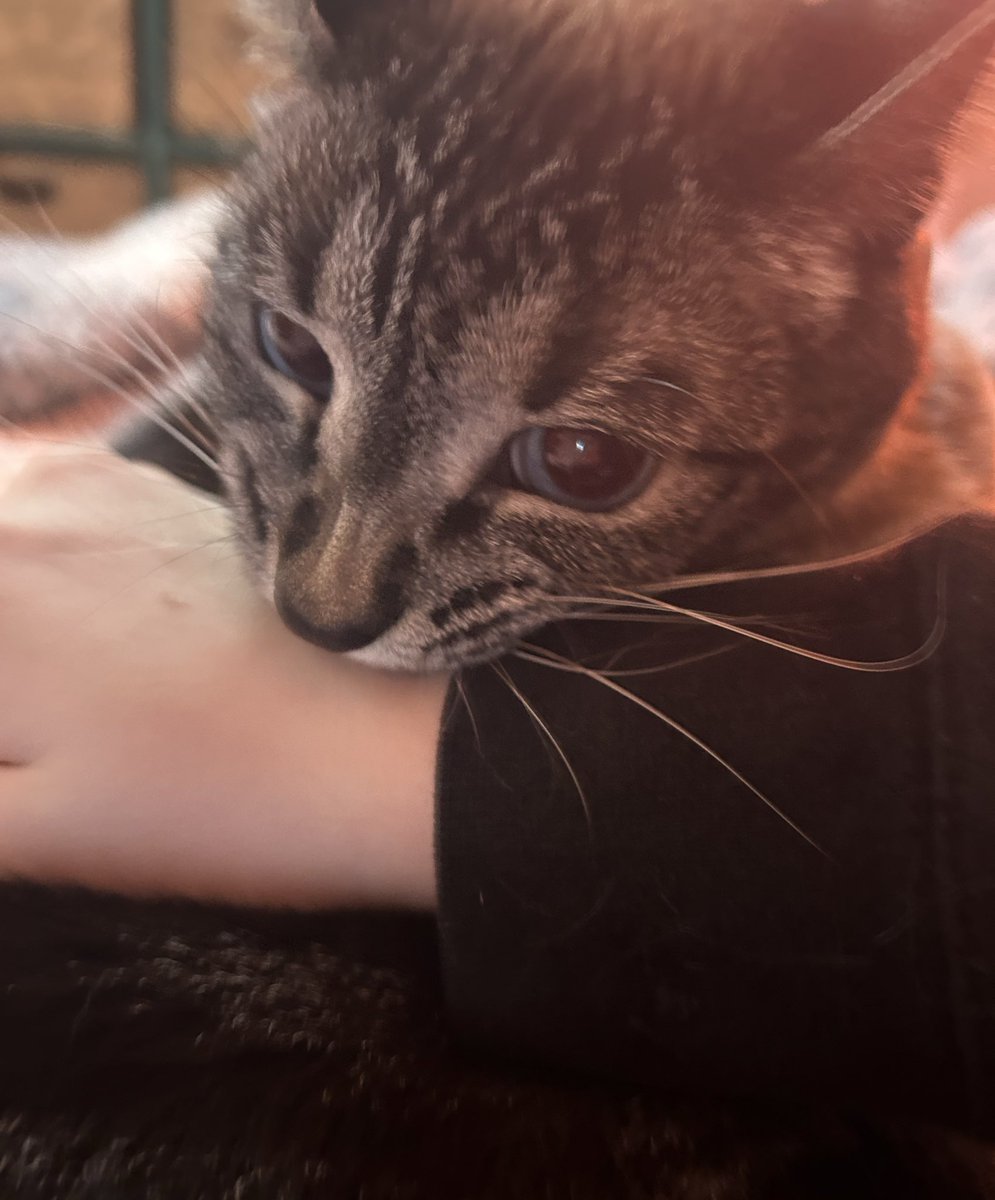 Hope ☀️ tweet media