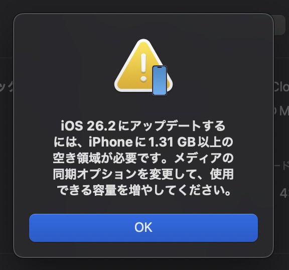 確認(っ^ω^c)♡ システムデータ膨大民として試してみた 容量が限界過ぎる場合はMacから