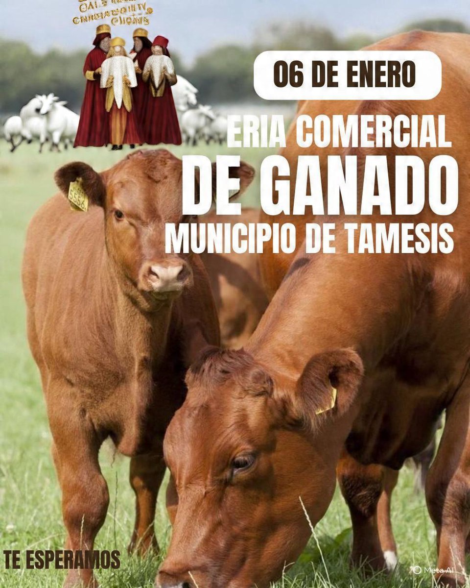 LocalPintada's tweet image. ¡No te pierdas la oportunidad de vivir la tradición! La Feria de Ganados de Támesis es más que un evento comercial, es un encuentro con la cultura y la amistad del suroeste antioqueño.  🌟🐮
#Construyendoganadería @Fedegan @jflafaurie