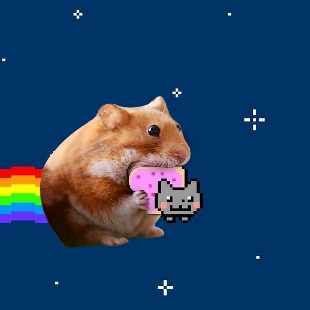 <a href="/NyanCat/">Nyan Cat</a> nom nom nom 🐹