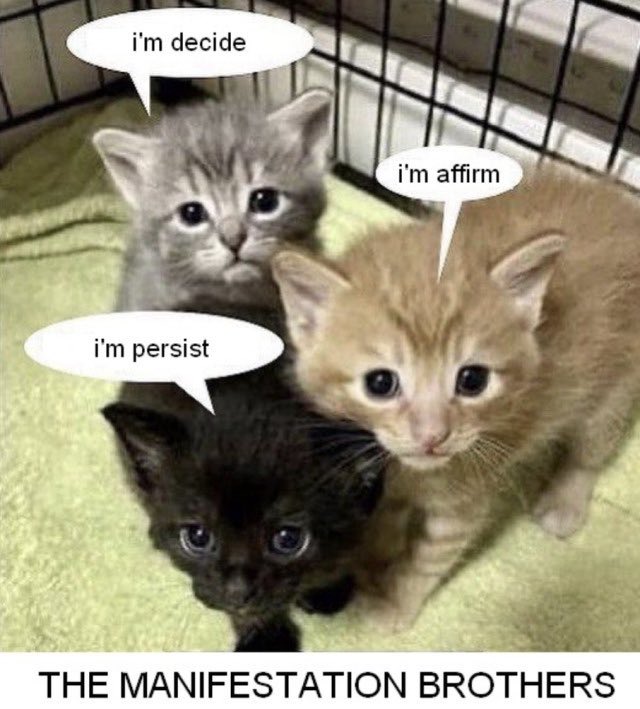 zyoprincess's tweet image. Me and manifestation gang