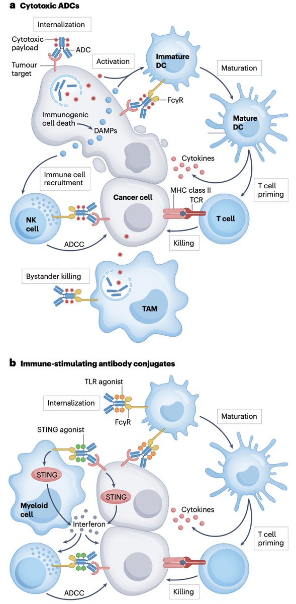 Diego A. Díaz-García tweet media