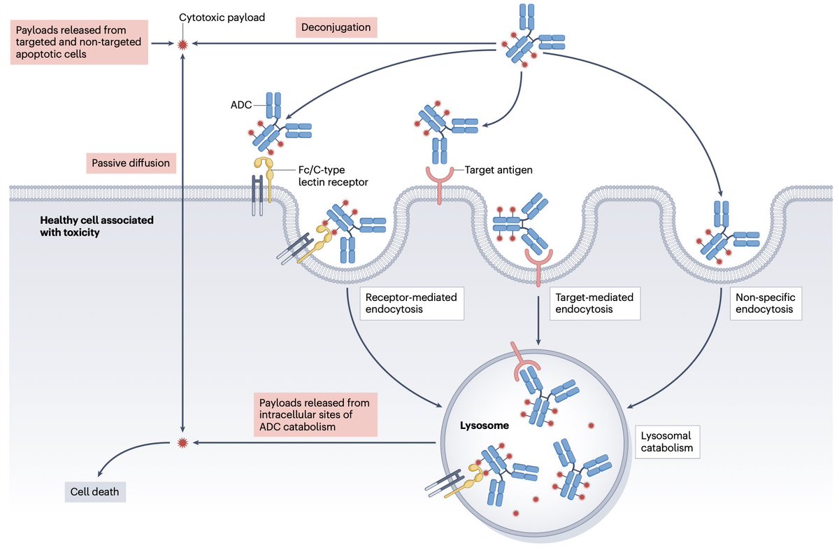 Diego A. Díaz-García tweet media