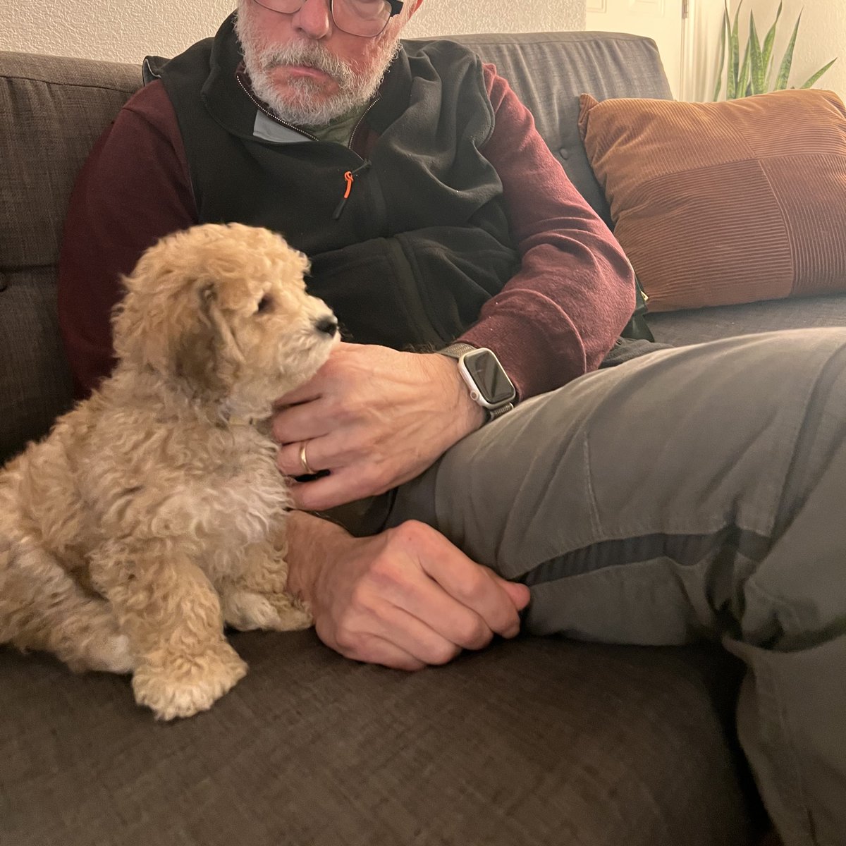 𝕯𝖎𝖑𝖉𝖔 𝕭𝖆𝖌𝖌𝖎𝖓𝖘 tweet media