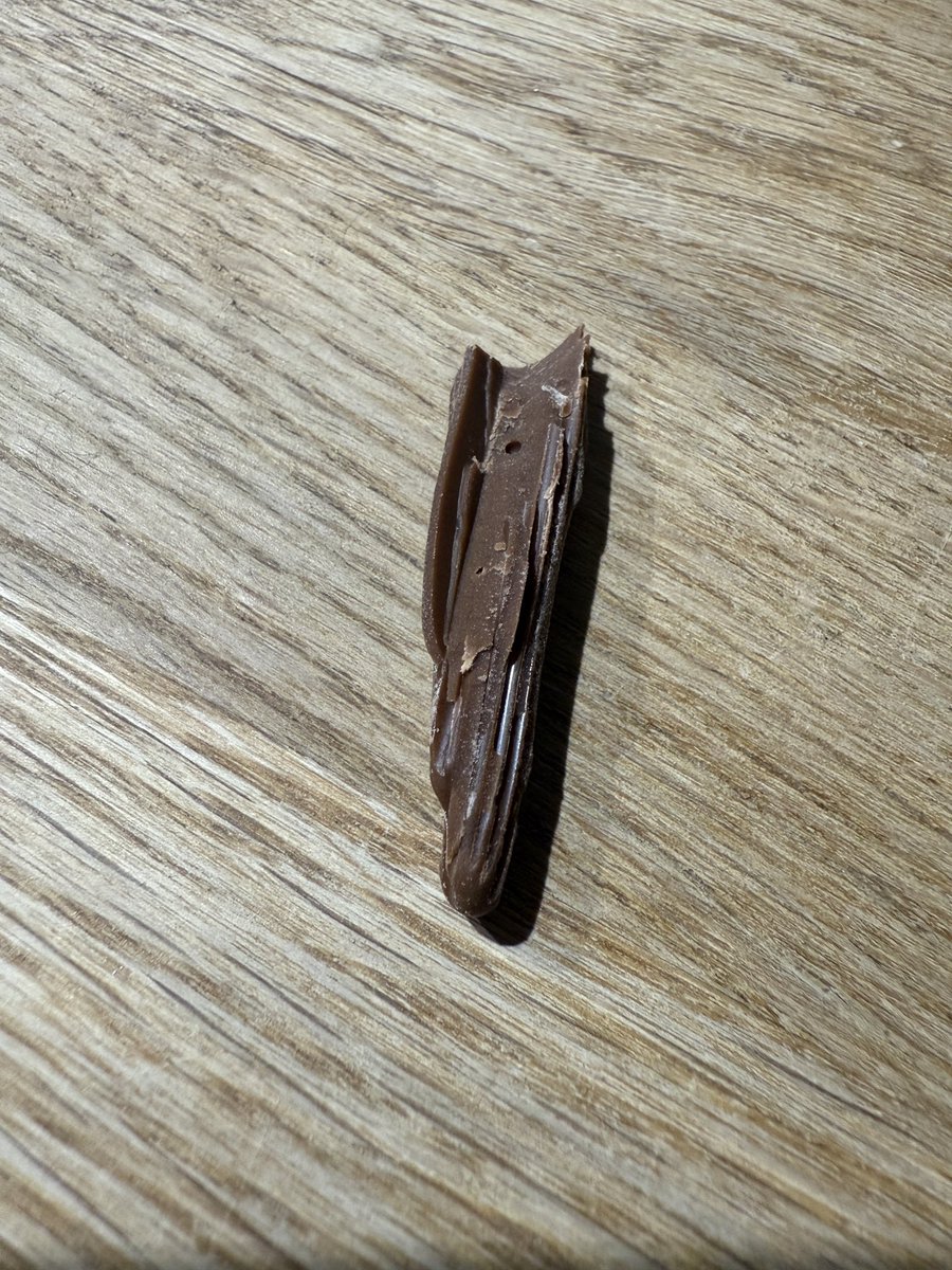 Can anyone tell me what this is?